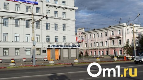 Сергей Шелест дал поручение найти собаку, которая набросилась на ребёнка в Омске