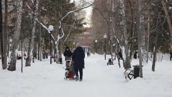Почти четверть детей рождается вне брака в Новосибирской области