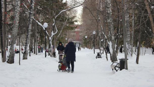 Почти четверть детей рождается вне брака в Новосибирской области