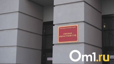 Омскому депутату Дмитрию Петренко не удалось оспорить решение суда о запрете на прогулки по ночам