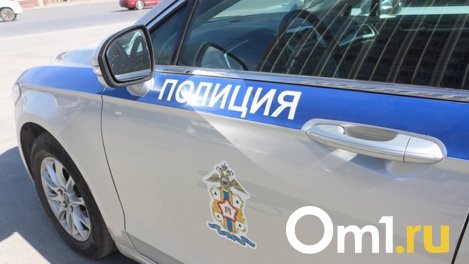 Ночью омские автоинспекторы устроили погоню за пьяным водителем без прав
