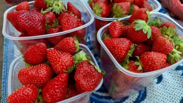 Мэр напомнил, где купить свежие фрукты и овощи от омских дачников