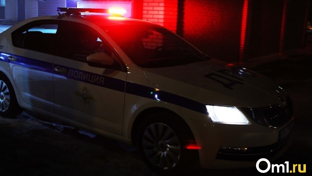 В Омске водитель «ГАЗели» сбил насмерть пенсионерку во дворе жилого дома
