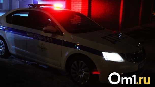 В Омске водитель «ГАЗели» сбил насмерть пенсионерку во дворе жилого дома