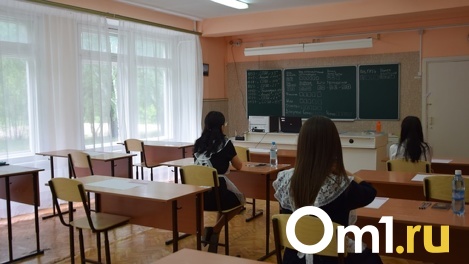 Распылил газовый баллончик в ответ на удар: новосибирский школьник подрался с «особенным» ребёнком