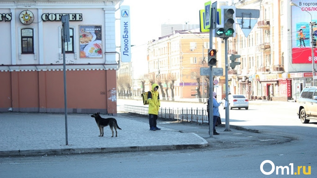 Светофор на одном из перекрёстков в Омске начал работать по-другому