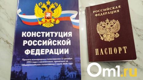 Ёлки и чайлдфри: что изменится в жизни омичей в декабре 2024 года
