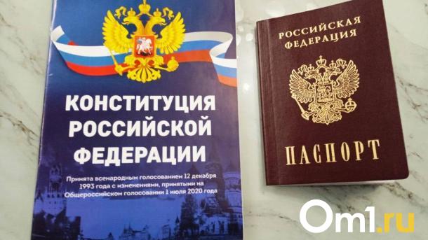 Ёлки и чайлдфри: что изменится в жизни омичей в декабре 2024 года