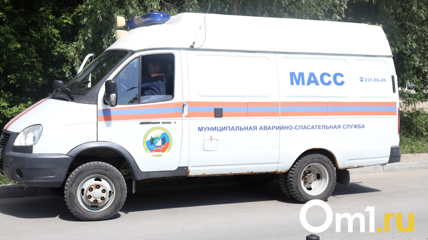 Тела двух мужчин нашли запертыми в квартирах в Новосибирске