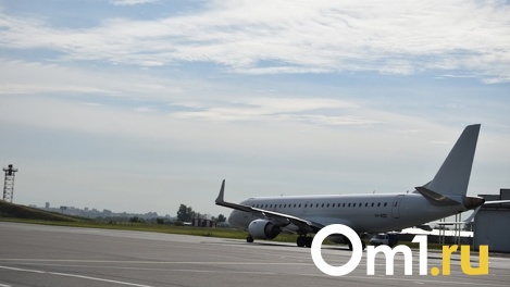 Омский аэропорт отдаст за покос травы 740 тысяч рублей