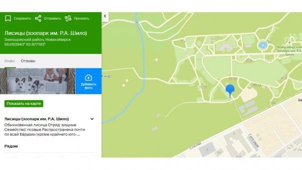 Вольеры Новосибирского зоопарка нанесли на карту 2GIS