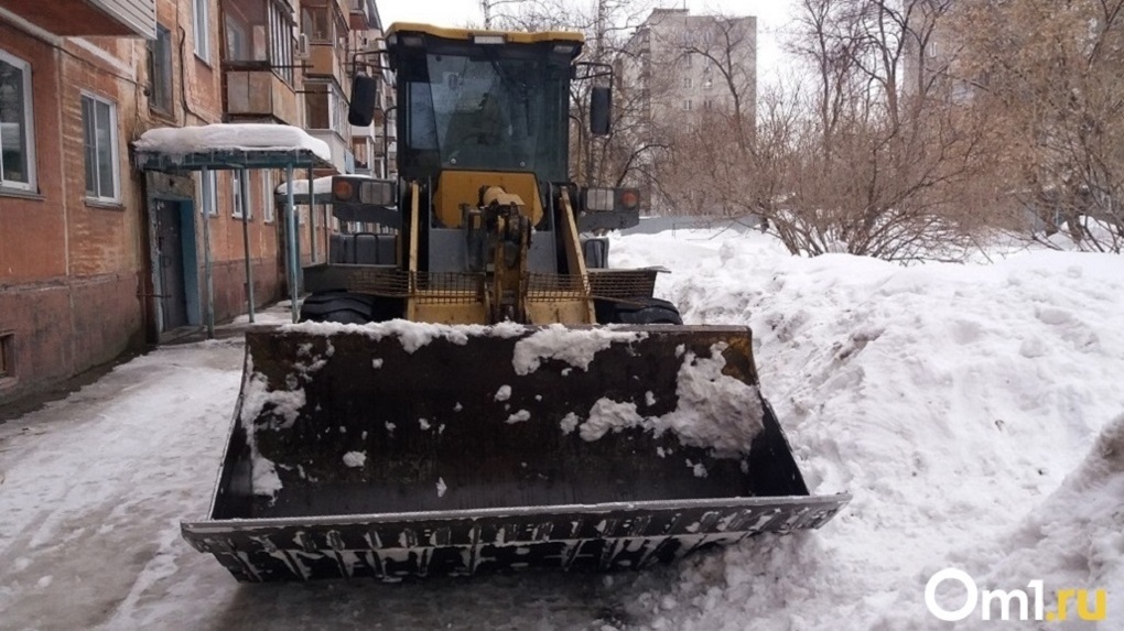 Убрать снег с улиц Новосибирска до конца недели поручил мэр Анатолий Локоть