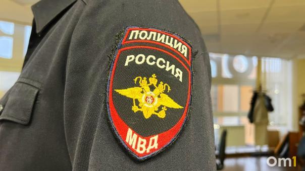 За убийство матери омичка села в тюрьму спустя 15 лет