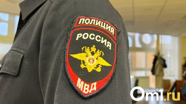 За убийство матери омичка села в тюрьму спустя 15 лет