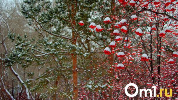 «Колоссальная аномалия!»: в Гидрометцентре дали пугающий прогноз для Новосибирска