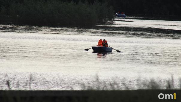 Синоптики рассказали, повторится ли сильный паводок в Омской области