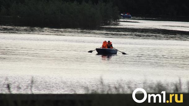 Синоптики рассказали, повторится ли сильный паводок в Омской области