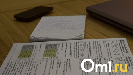 В Госдуме предложили избавить мобилизованных омичей от долгов по коммуналке