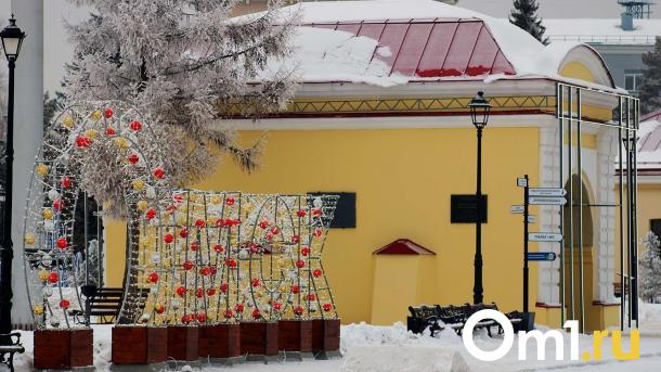 В новогодние праздники в омских парках нельзя будет купить алкоголь