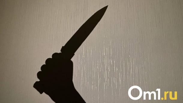 Новосибирец предстанет перед судом по обвинению в убийстве брата