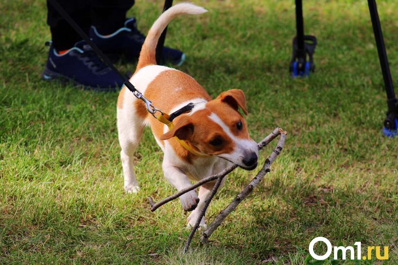 Изображение фоторепортажа