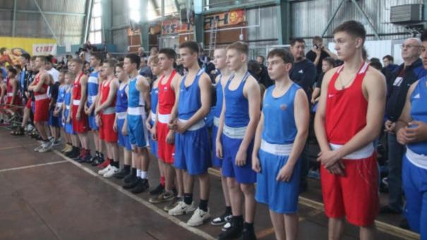 Пять золотых медалей завоевали бердские боксёры в Межрегиональном турнире