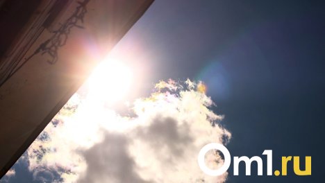 Новосибирцам пообещали тёплую погоду на выходных