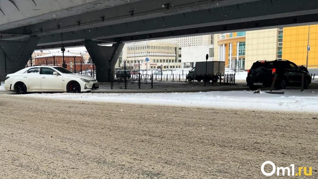 Снегопад и метель: в Омске готовятся к очередной волне непогоды