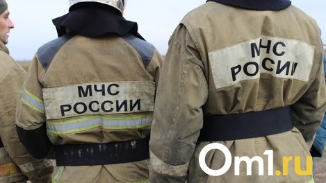 Семья с шестью детьми спаслась из полыхающего частного дома в Новосибирске