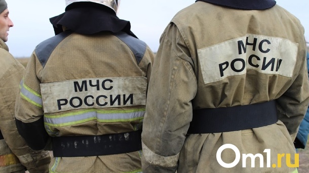 Семья с шестью детьми спаслась из полыхающего частного дома в Новосибирске