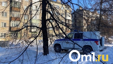 Молодого омича посекли кухонным топориком