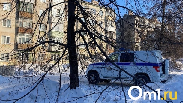 Молодого омича посекли кухонным топориком