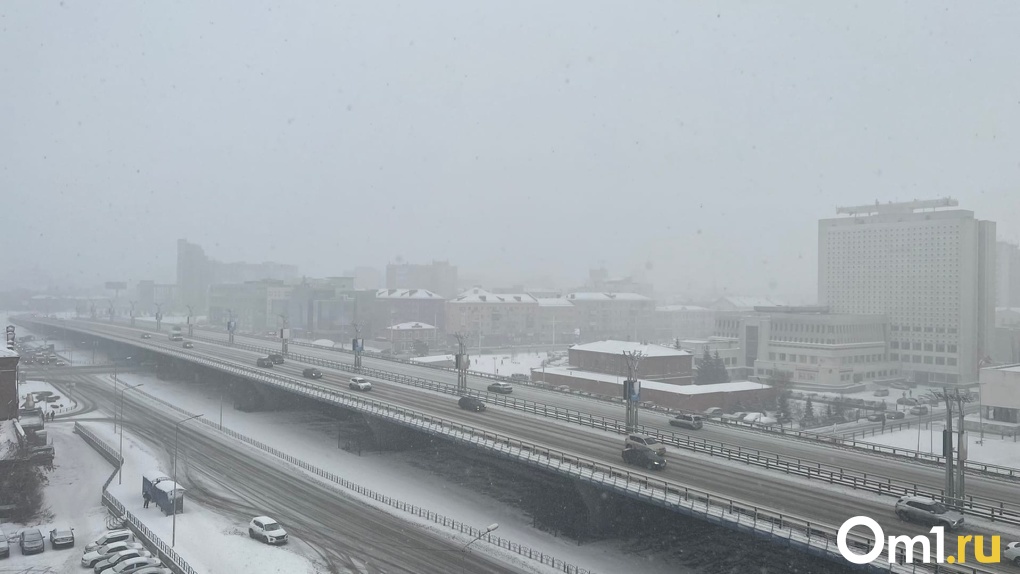 В Омске за сутки выпала половина декадной нормы снега