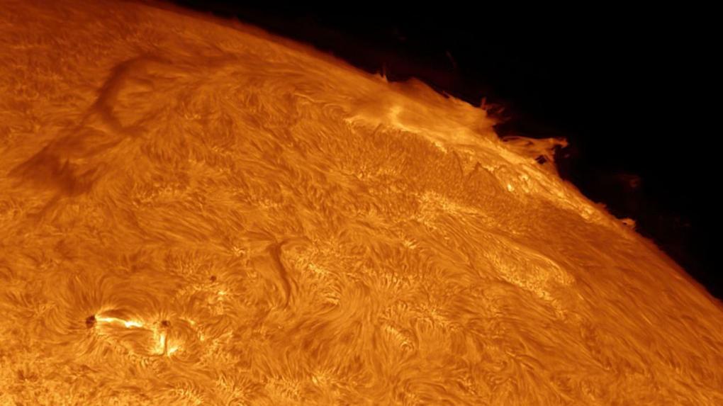 Детальные фото вспышек на Солнце показал новосибирский астрофотограф