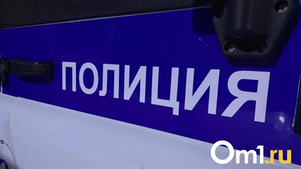 Останки грибника, пропавшего почти год назад, могли быть найдены в Омской области