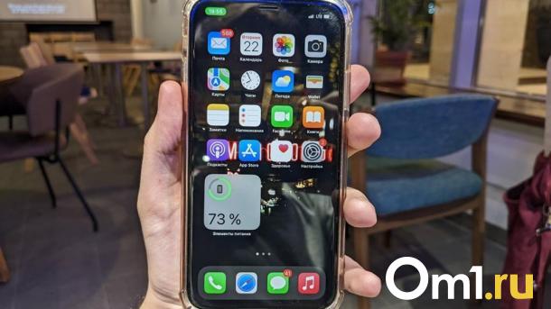 Омские домовые чаты могут перевести в мессенджер MAX