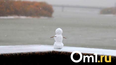 Почти -30 °C: в Новосибирскую область придёт мощное похолодание