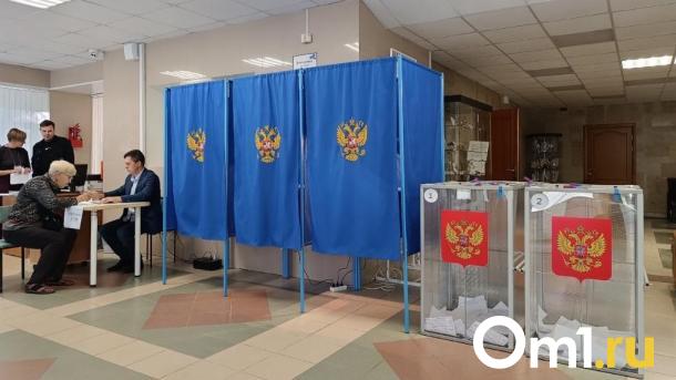 В Новосибирской области завершаются довыборы — сколько % составляет явка