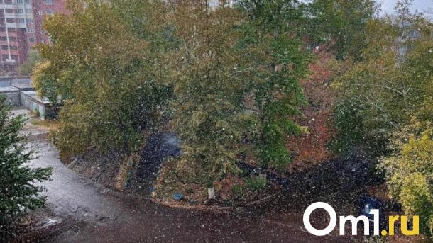 После сильного ливня и града в Омске прошёл снег