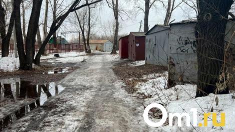 Спасатели МАСС эвакуировали подростка с травмой ноги в Новосибирске