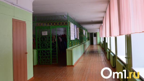 В Омске накануне каникул закрыли на карантин почти два десятка школ