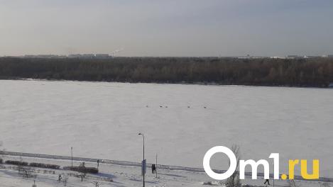 Омичи заметили косуль в центре Иртыша