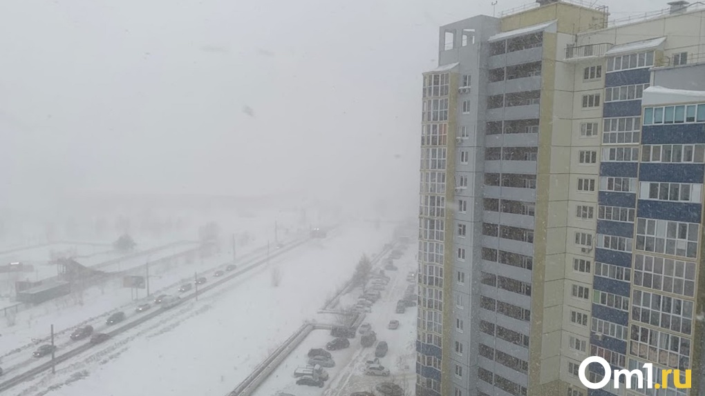 Омск выпал снег. Снегопад Омск 2020. Омск метель. Снег в мае Омск. Омск - Снежная буря, погодное явление.