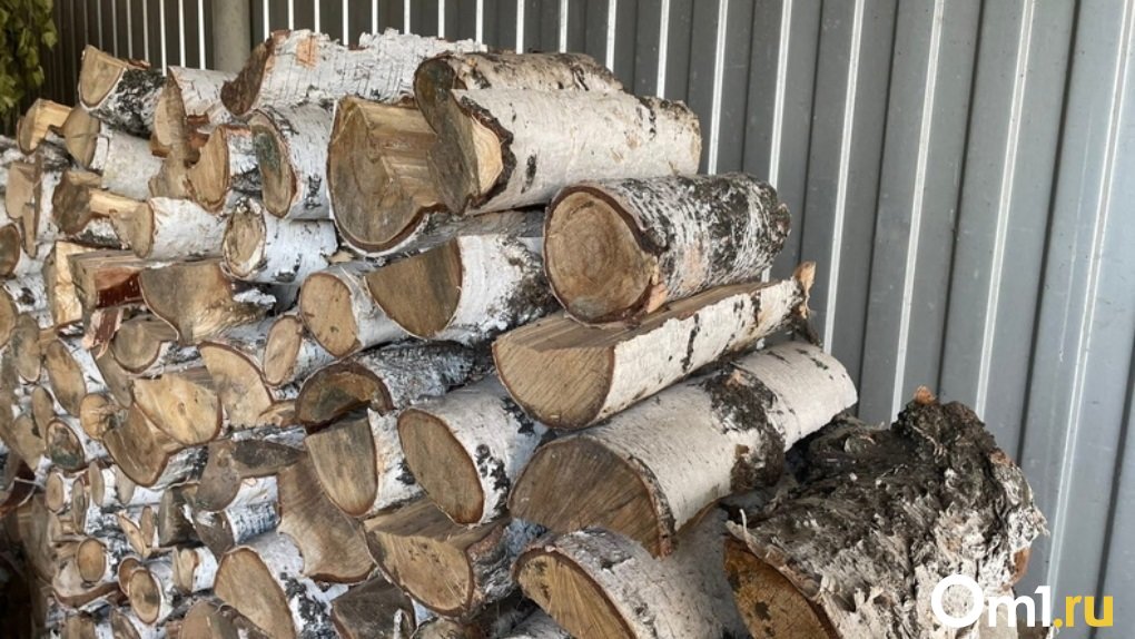 В Омске семьям мобилизованных помогут купить дрова