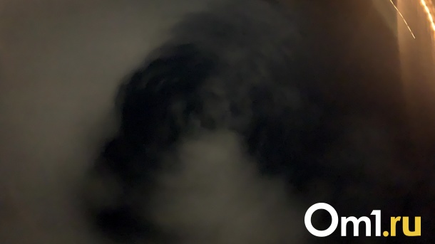 Трупы и сожжённые кости. Омичи рассказали, чем пахнет предновогодний воздух