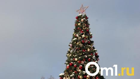 Родные просторы: топ-5 локаций для новогоднего отдыха недалеко от Омска