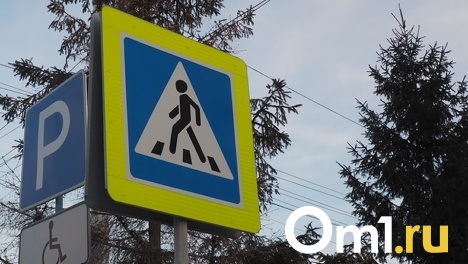 В Омской области водитель сбил школьника и решил избежать ответственности