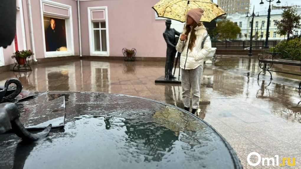 Синоптики рассказали, когда в Омской области пойдёт дождь