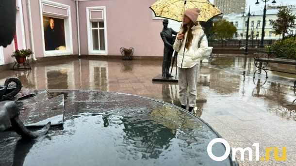 Синоптики рассказали, когда в Омской области пойдёт дождь