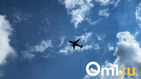 После Медведева в Омск прилетит ещё один высокопоставленный член правительства